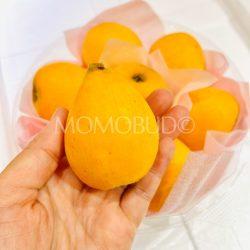 Jumbo Japanese Amaka Biwa (Loquat)