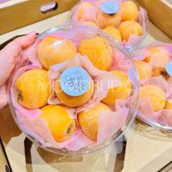 Jumbo Japanese Amaka Biwa (Loquat) 500g punnet 1
