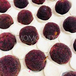 [Premium Selection] Jumbo Dong Kui Chinese Bayberries 2