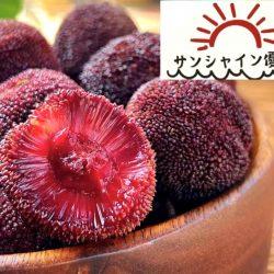 [Premium Selection] Jumbo Dong Kui Chinese Bayberries