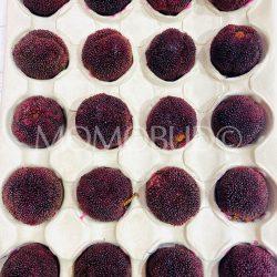 [Premium Selection] Jumbo Dong Kui Chinese Bayberries