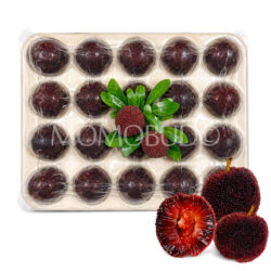 [Premium Selection] Jumbo Dong Kui Chinese Bayberry (480g punnet)