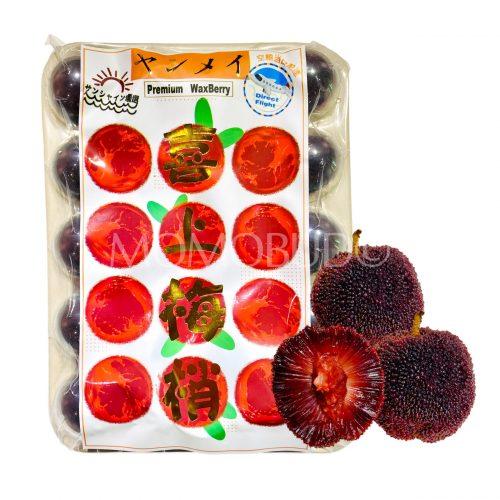 [Premium Selection] Jumbo Dong Kui Chinese Bayberry 500g punnet