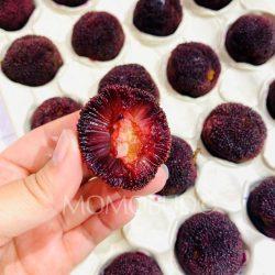 [Premium Selection] Jumbo Dong Kui Chinese Bayberry cross section