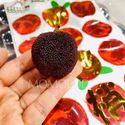 [Premium Selection] Jumbo Dong Kui Chinese Bayberry on hand