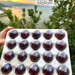 [Premium Selection] Jumbo Dong Kui Chinese Bayberry punnet 1