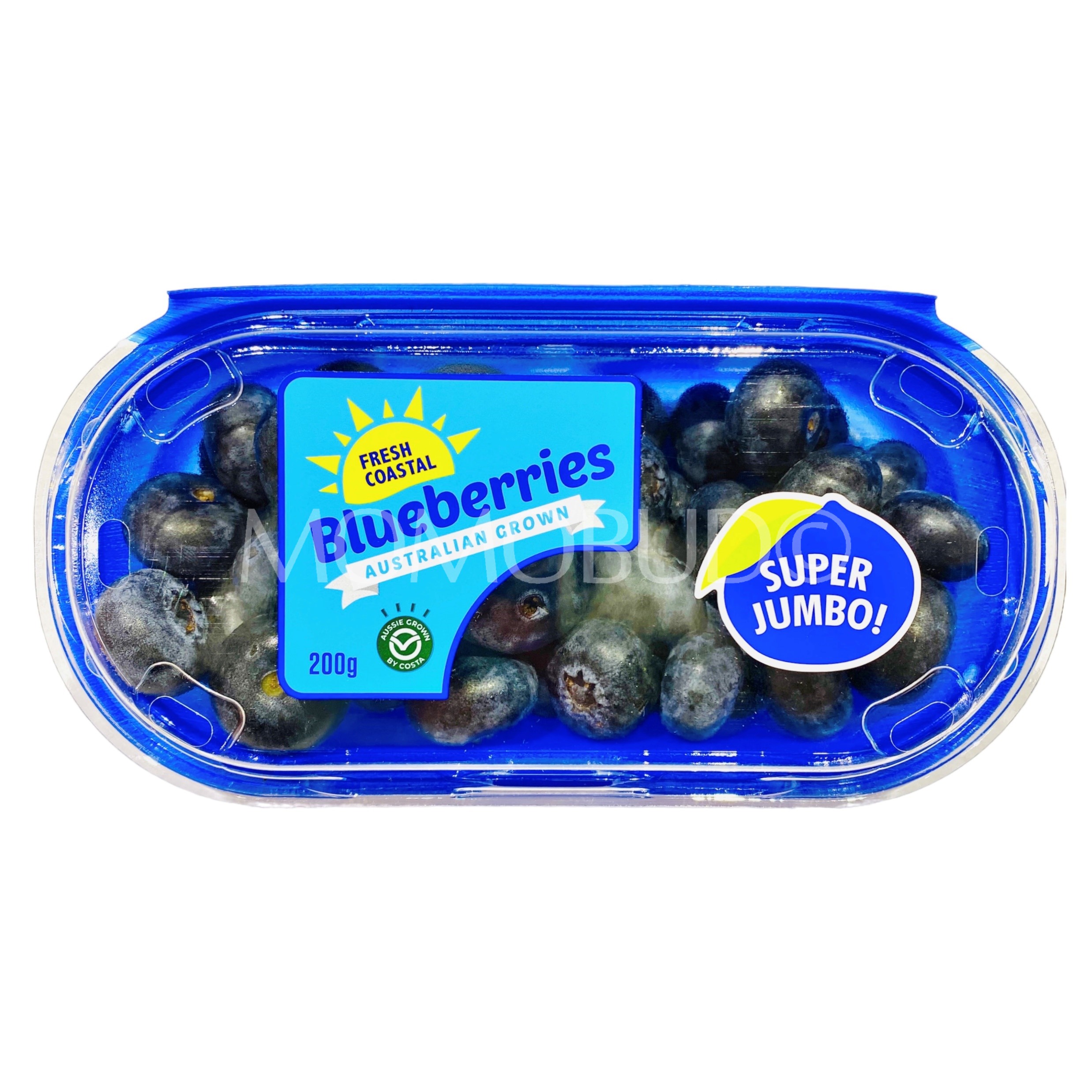 Super Jumbo Fresh Coastal Blueberry (200g) — MomoBud