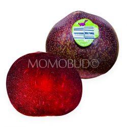Dino Brand® Red Plumcot