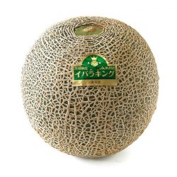 Japanaese Ibara King Green Melon