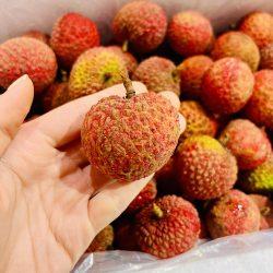 Air-flown Lychee King Lychee