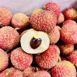 Air-flown Lychee King Lychee cross section