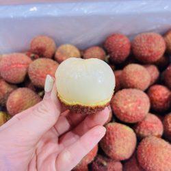 Air-flown Lychee King Lychee flesh