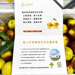 China Mars Winter Jujube brochure China Mars Winter Jujube brochure