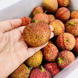 China Seedless Lychee (2kg box)