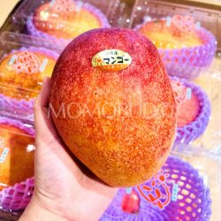 Japanese Okinawa Kanjuku Mango