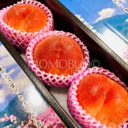 Japanese Premium Ichinomiya Takumi no Momo White Peaches 1