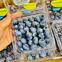 Peru Driscoll’s Blueberry 125g punnet 1