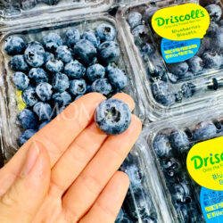 Peru Driscoll’s Blueberry