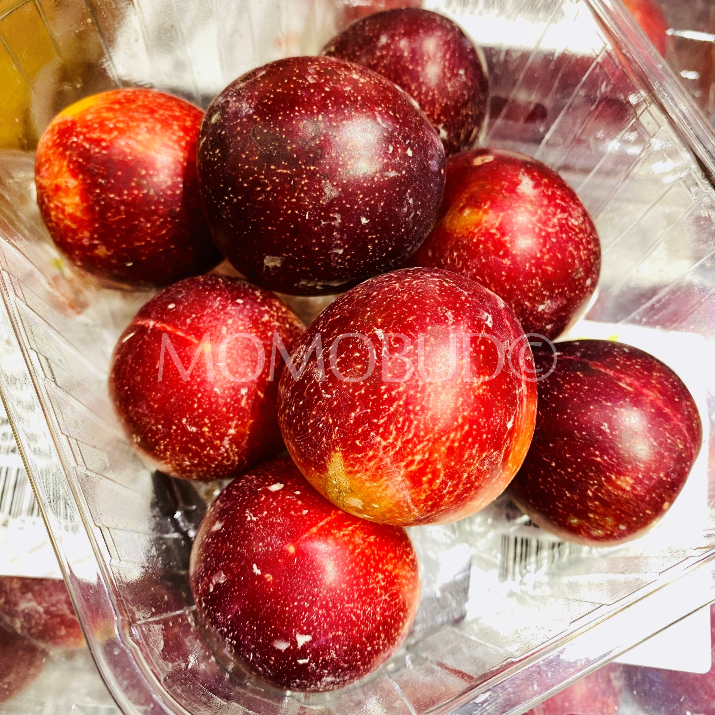 Spain Cherry Pluot® (300g punnet) — MomoBud