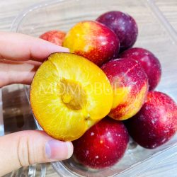 Spain Cherry Pluot® cross section Spain Cherry Pluot® cross section