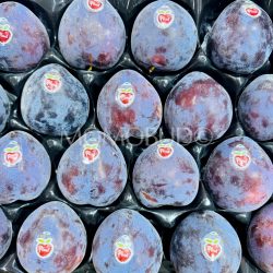 Spain Velvet Pluots®