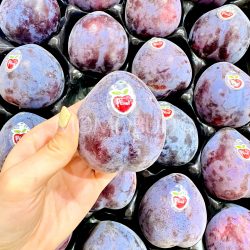 Spain Velvet Pluot® on hand