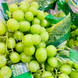 USA Ivory Green Seedless Grapes
