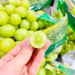 USA Ivory Green Seedless Grapes cross section