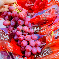 USA Ruby Rush™ Red Seedless Grapes USA Ruby Rush™ Red Seedless Grapes