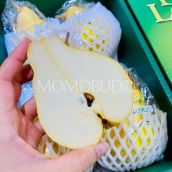 Yamagata Le Lectier Pear cross section