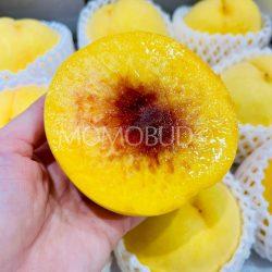 Japanese Fuefuki Golden Peach cross section
