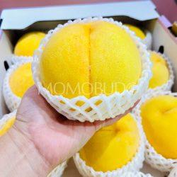 Japanese Fuefuki Golden Peach on hand