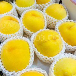 Japanese Fuefuki Golden Peaches