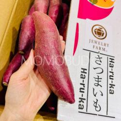 Japanese Jewelry Farm Beni Haruka Satsumaimo Sweet Potato