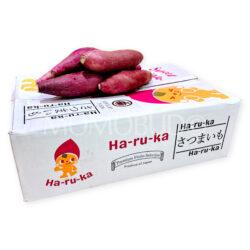 Japanese Jewelry Farm Beni Haruka Satsumaimo Sweet Potato Box (5kg)