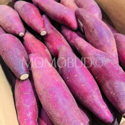 Japanese Jewelry Farm Beni Haruka Satsumaimo Sweet Potatoes
