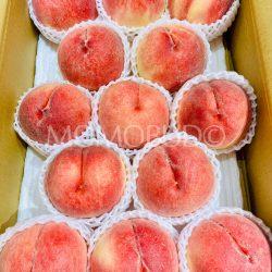 Japanese Oofuji Kawanaka Jima White Peaches (Tokushu grade)