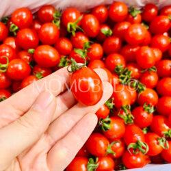 China Sweetin Cherry Tomato