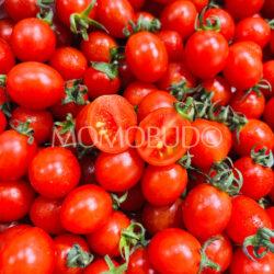 China Sweetin Cherry Tomato cross section