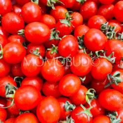 China Sweetin Cherry Tomatoes