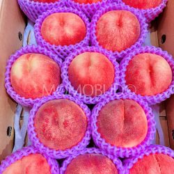 IJapanese Tsugaru Sakura White Peaches