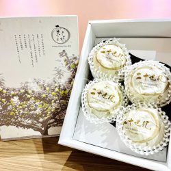 Japanese 20th Century (Nijyusseiki) Pear Gift Box (2kg) 1 Japanese 20th Century (Nijyusseiki) Pear Gift Box (2kg) 1