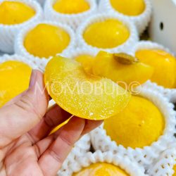Japanese Homaniero Plum slice