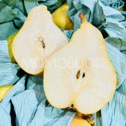 Japanese Nagano Margueritte Marilla Western Pear cross section