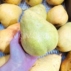 Japanese Nagano Margueritte Marilla Western Pear on hand