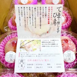 Japanese Reigyoku Shinano Pearl Plum brochure – Red