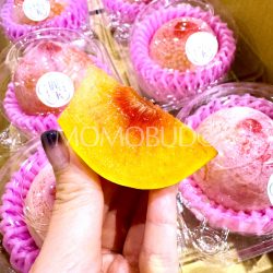 Japanese Reigyoku Shinano Pearl Plum slice – Red