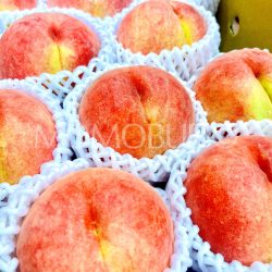 Japanese Yamagata Date Hakutou White Peaches 1 Japanese Yamagata Date Hakutou White Peaches 1