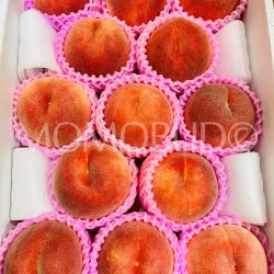 Premium Japanese Tsugaru Sakura White Peaches