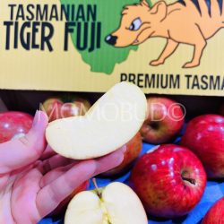 Tasmanian Tiger Fuji Apple slice Tasmanian Tiger Fuji Apple slice